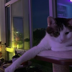 Meet your Posher, Marlene